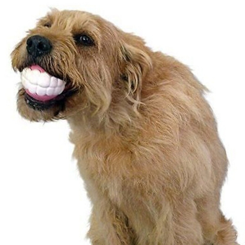 Pet Ball Teeth Silicon Chew Toys for Large Breeds Durable
