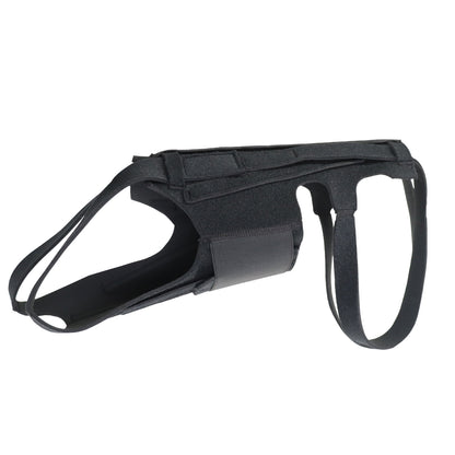 Dog Back Brace for IVDD Arthritis Recovery - Support Vest