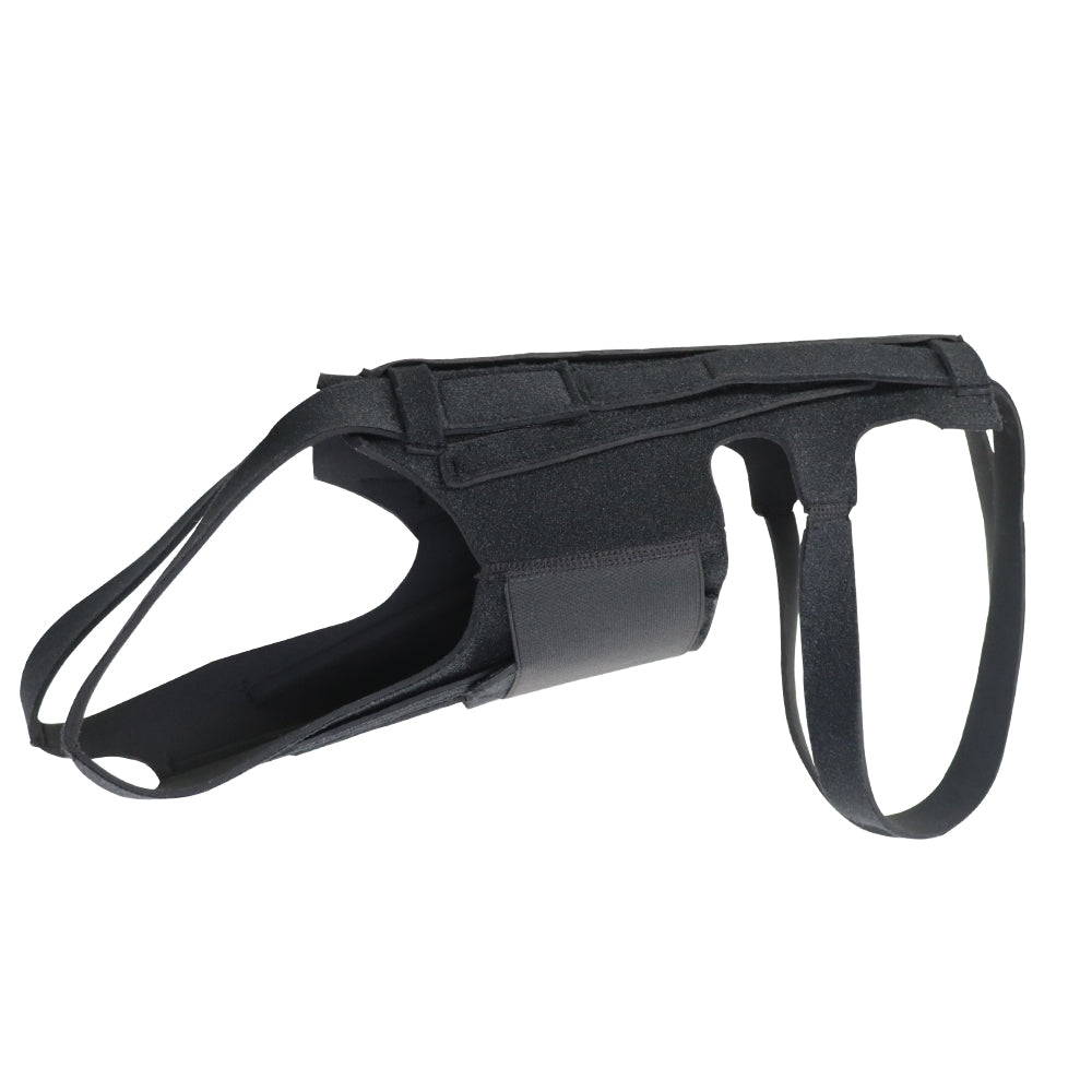 Dog Back Brace for IVDD Arthritis Recovery - Support Vest